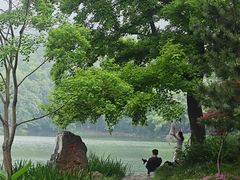-紫霞湖公园