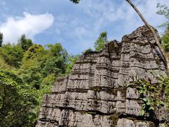 -梭布垭石林景区