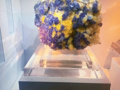 -中国地质大学逸夫博物馆