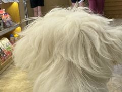 -美联众合动物医院·24h转诊中心