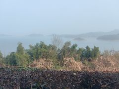 -天目湖涵田半山温泉