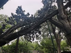 -晋祠博物馆