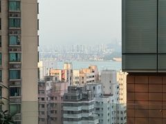 -香港大学