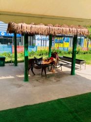 -萌宠亲子动物乐园(槐房万达店)