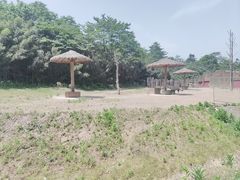 -杭州野生动物世界
