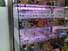 -大润发(国兴店)