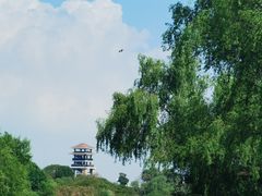 -大湾区中央湿地公园