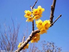 菩提慧宾中医养生堂-菩提慧宾养生堂(梦幻亮点世界公园店)