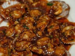 蚝油扇贝-华春餐馆(鱼山路店)