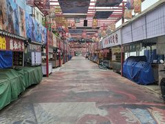 -保定市花鸟鱼虫市场