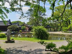 -江心屿景区