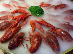 -红盔甲·小龙虾(天钥桥店)