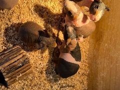 -珠海海泉湾神秘岛亲子乐园