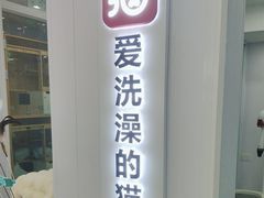 -爱洗澡的猫(望京店)