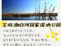 -塘沽森林公园