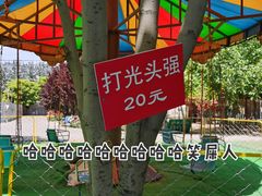 -1982农场