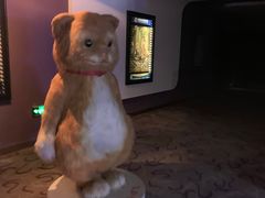 -幸福蓝海国际影城(河西店)