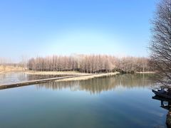 -溱湖国家湿地公园