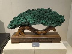 -安徽省地质博物馆