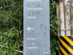 -三林塘老街