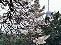 -红星桥(地铁站)