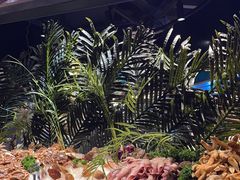 -海吃海喝海鲜烤肉炭火主题自助餐(朝阳店)