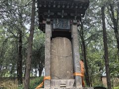 -永乐宫