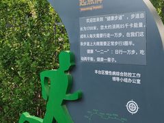 -莲花池公园