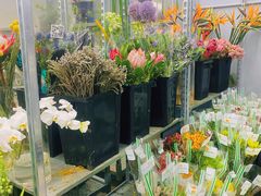 -循礼门鲜花花市(武汉循礼门店)