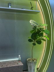 -不迫先生专业男士剪发