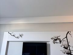 -白玉兰苏州观前街平江路酒店