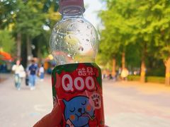 -朝阳公园