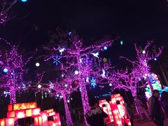 -万绿园