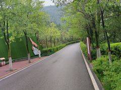 -青藏高原野生动物园