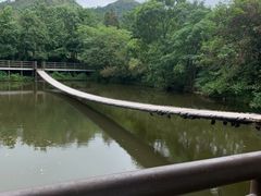 -黄陂区野村谷景区