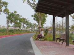 -上海长兴岛郊野公园