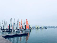 -海豚湾扬帆出海帆船游艇