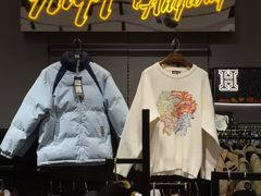-鹏欣水游城