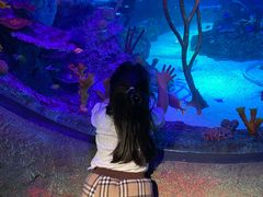 -沈阳海洋探索中心