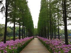 -圩墩遗址公园