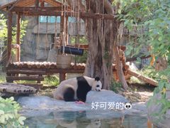 -泉州海丝野生动物世界