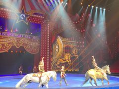 -珠海横琴长隆《卡卡虎奇遇记》