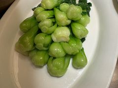 -觅唐MITONG(鸟巢店)