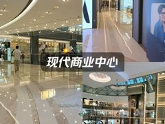 -港汇恒隆广场