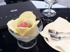 -BLACKSWAN黑天鹅(环球店)