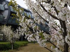 -上海滴水湖皇冠假日酒店