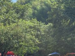 -雅鲁激流探险漂流