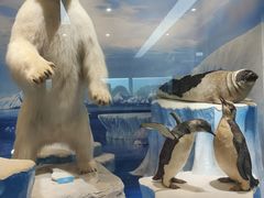 -国家自然博物馆