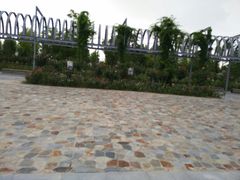 -南湖国家城市湿地公园