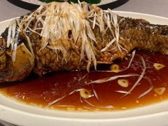 -津菜典藏河西店(水上店)